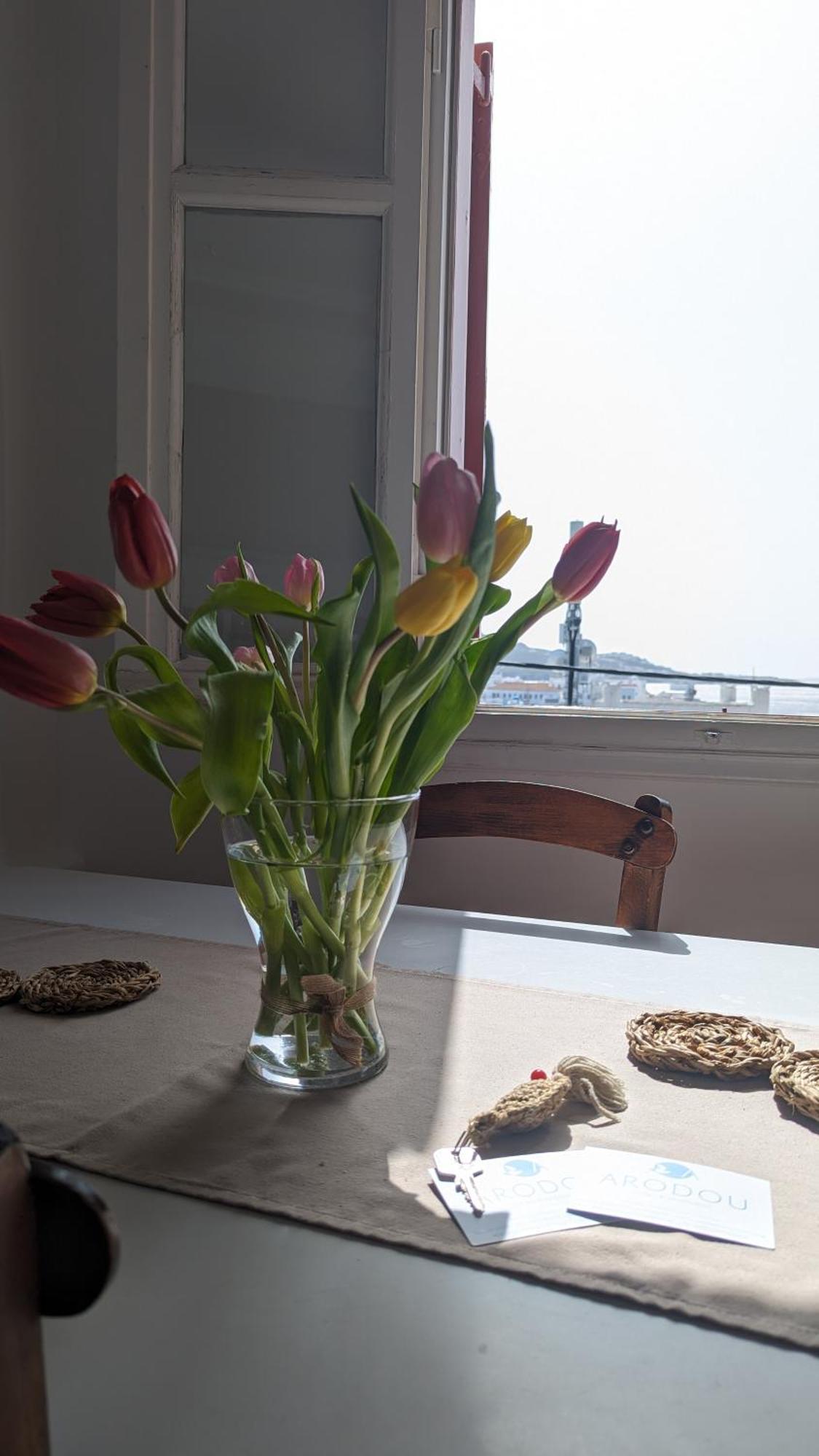 Arodou Studio And Apartment Mykonos Town Eksteriør bilde